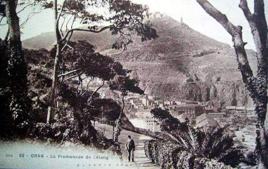 PL a- 098- Promenade de Letang A.jpg